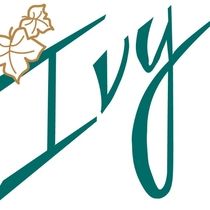 15% off Website Design  by IVY Marketing Group