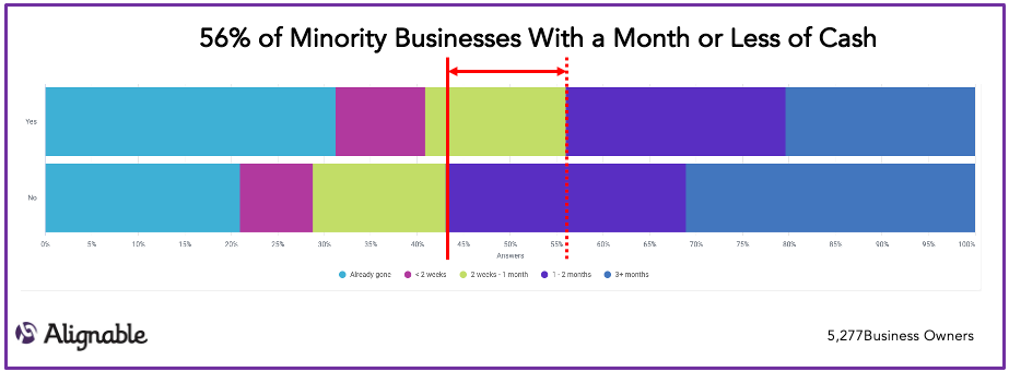 Minority Business Cash Reserves