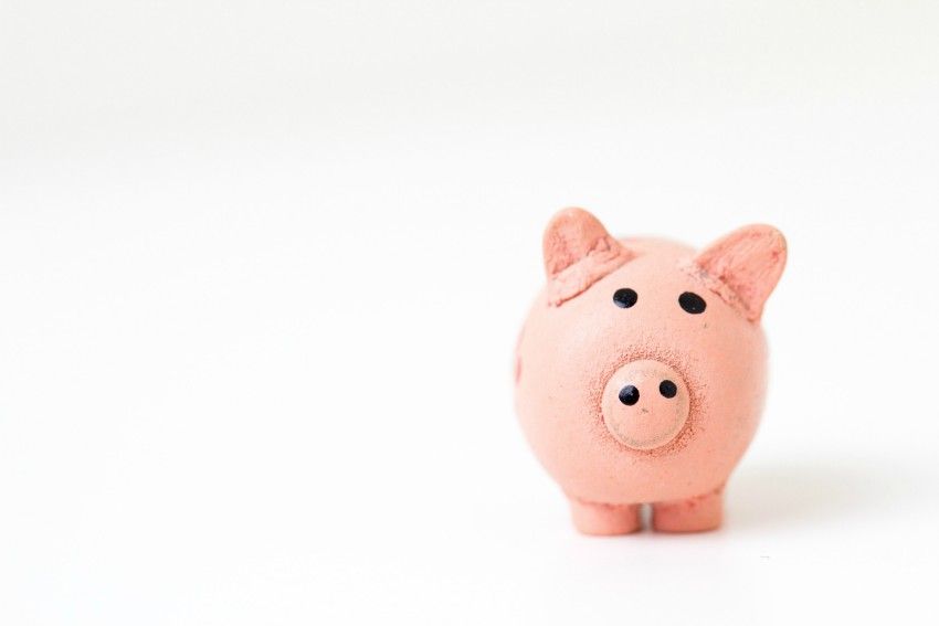 pink pig figurine on white background representing small businesses increase revenue