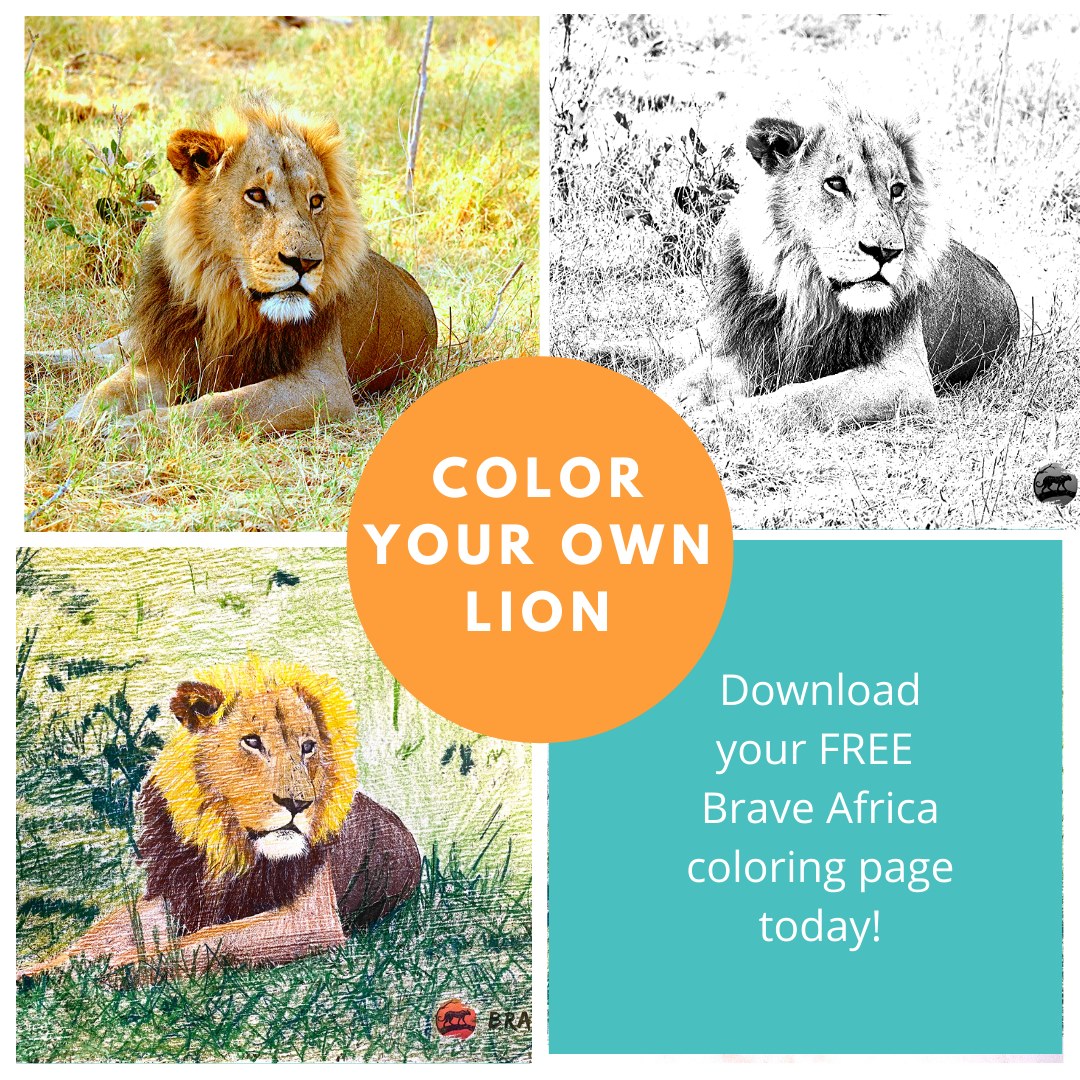 lion coloring book page example of content marketing ideas for small business