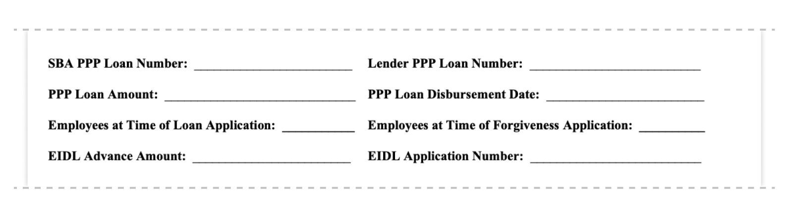 ppp loan forgiveness application form 3508ez loan information