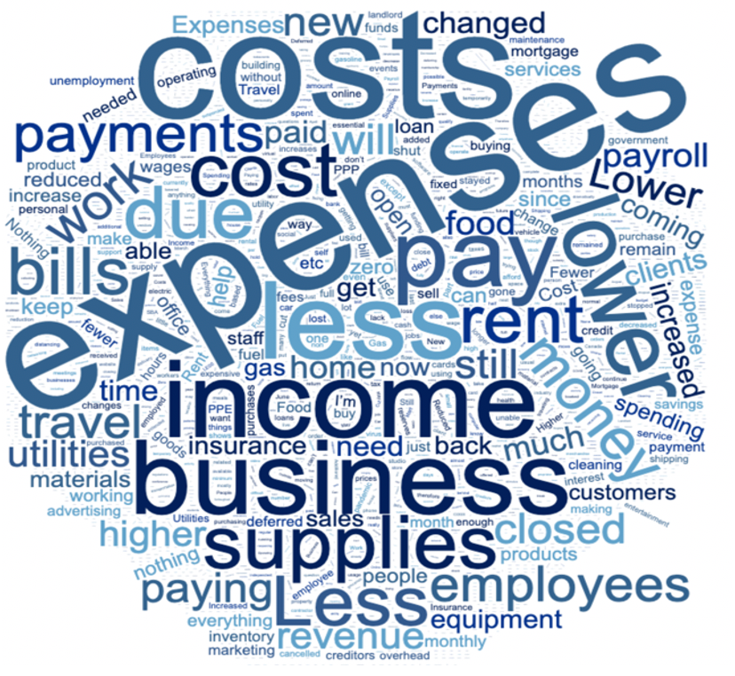 Word Cloud on Expenses Impacted By Coronavirus