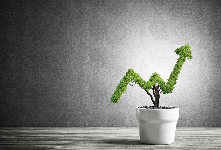 plant that shows arrow going up small business growth