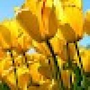 Heather Ayala Segovia from Galaxy VR Video Game Lounge