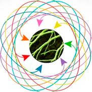 Brett Buzzelli from Eunoia Health Tech Inc