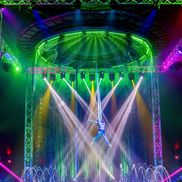 Adam Lewis from Cirque Italia