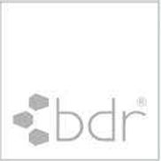 BDR Beauty USA