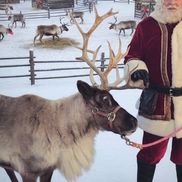 Richard J Corbin from Dash Away Reindeer