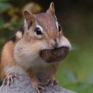 Bobbie Plaisted from MaineGeneral Medical Center