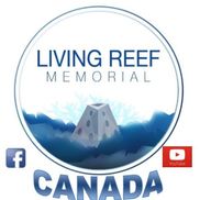 Kevin Owens from Living Reef Memorial