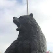 Stephanie Zucchini from Synergy Recovery Center