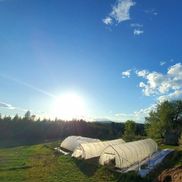 Joel Andring from Andring Family Farm