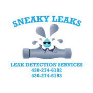 Sneaky Leaks