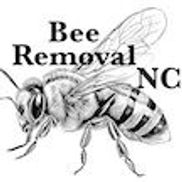 Alexander J. Buigas from Bee Removal NC