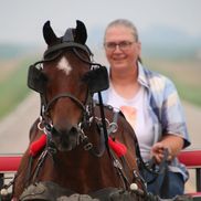 Valerie Hicks from Little Hooves Mini Horse Rescue