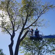 Alfonso Ceballos from ALA Landscaping LLC