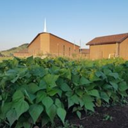Grace United Methodist Church