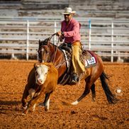 Winchester Baisas from Renegade Ranch, LLC