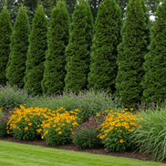 Plant By Number