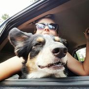 Shannon Fitzgibbons from Discard Bakery LLC