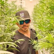 Matt Carter from Omega Cannabis