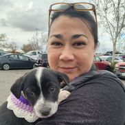 Home Instead Senior Care Napa Solano