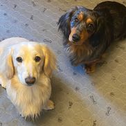 Tim Olmstead from Charbo Art Events