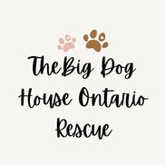Melissa Grover from The Big Dog House