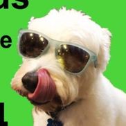 Ski Witkovski from Happy Dog Yards Pooper Scooper