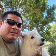 Concepcion Flores from Flores Handyman