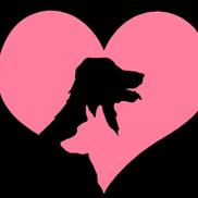 Katabra Windham from Big Paws Large Breed Rescue Nonprofit