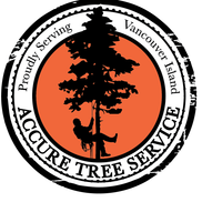 John Andrews from Accure Tree Service