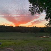 Diane Visser from DMVAcres LLC