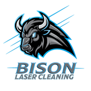 Bison Laser Cleaning