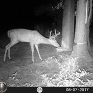 Bryan Jenkins from Lou Gravity  Feeders