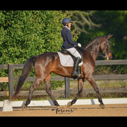 Nadia Dressage