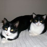 Jill Pierce from Business Consultant