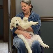 Vanessa P Sturgill from Snowy River Golden Retrievers