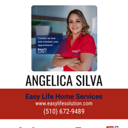 Easy Life Cleaning Services