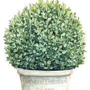 Boxwood Unlimited by Kraxberger Farms