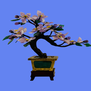 Claudia Rastin from Bonsai Home Creations