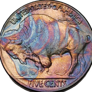 Shawna Vrbas from Buffalo Nickel Bookkeeping