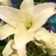 Anastasia Brooks from Anastasias Blooms