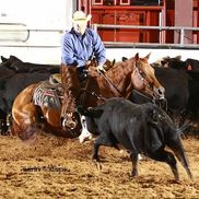 Billie J Austin from Justin Austin Cutting Horses Inc