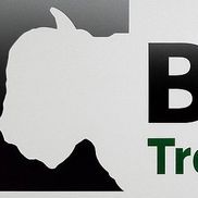 Mauricio J Oquendo from Buffalo Tree & Grading Services, Llc