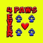 Kara Royar from 4 PAWS 4 EVER