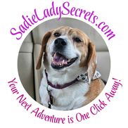 Stephanie Chiulli-Guillemette from Sadie Lady Secrets - Children's Author