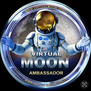 Virtual Moon, LLC