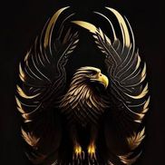Blackhawk Unlimited LLC
