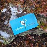 Britany Shears